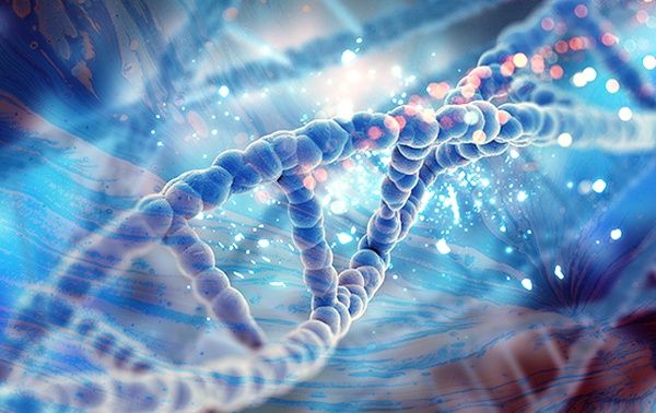 泰莱大学报名时间表：各项申请阶段详细说明