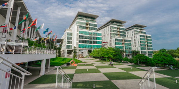 马来西亚泰莱大学的历史和传承