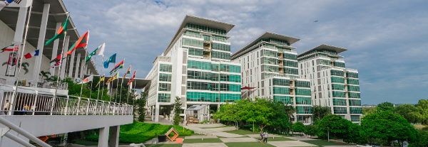 泰莱大学；艺术和文化活动的丰富选择