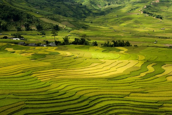 马来西亚专升本课程描述和成绩材料准备